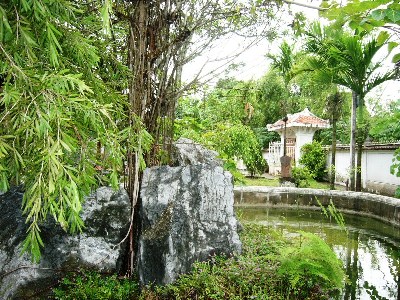 Hinhnha